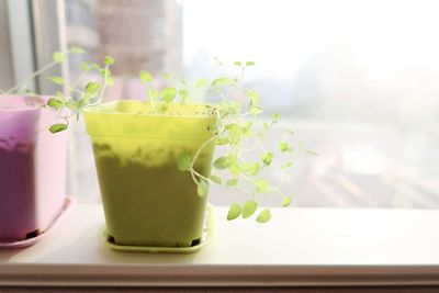 Close-up of drink on table