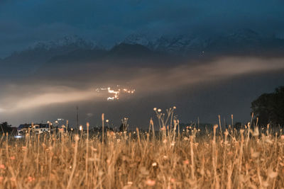Scenic view of landscape against sky at night