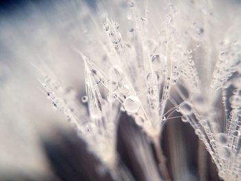 Close-up of wet glass window during winter