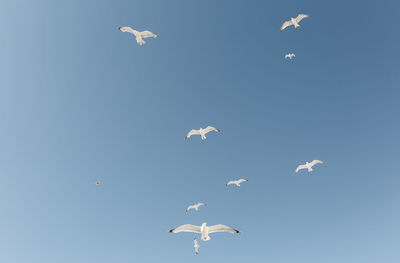 Low angle view of kite flying against blue sky