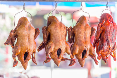 Close-up of meat hanging