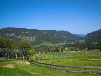 Scenic view of field against clear blue sky