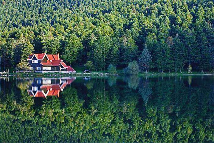 tree, water, lake, reflection, green color, tranquility, waterfront, nature, tranquil scene, built structure, growth, beauty in nature, river, architecture, scenics, day, nautical vessel, transportation, outdoors, idyllic