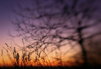 Low angle view of silhouette bare trees against romantic sky