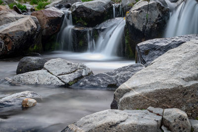 Scenic view of waterfall in forest