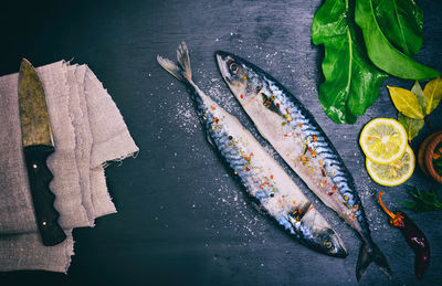 Close-up of fish on table