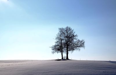 Scenic view of landscape against clear sky
