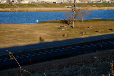 Scenic view of park