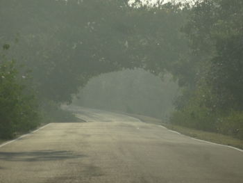Wet road amidst trees during rainy season