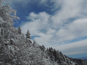 Low angle view of snowcapped mountain against sky