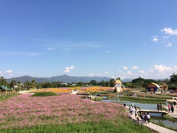 Scenic view of grassy field against blue sky