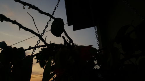 Close-up of silhouette plant against sky