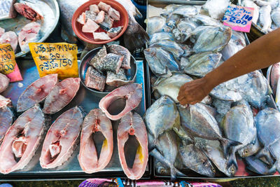 High angle view of fish for sale at market stall