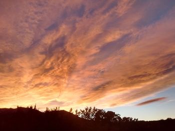 Low angle view of silhouette trees against dramatic sky