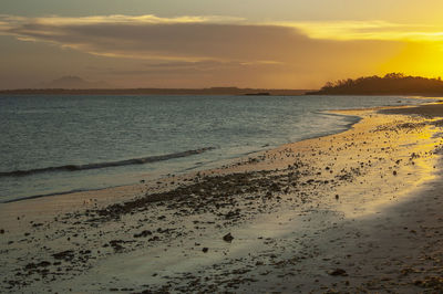 Scenic view of beach against sky during sunset