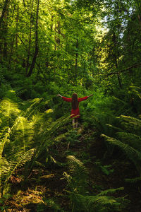 Rear view of person in forest