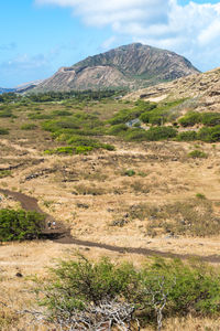 Scenic view of landscape against sky