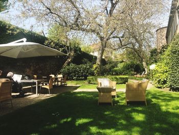 Chairs and table in park