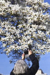 Rear view of person holding mobile phone