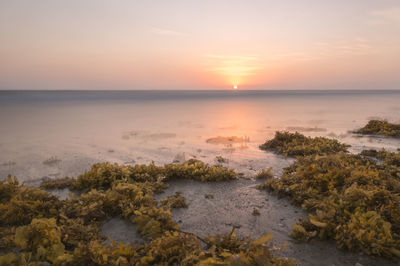 Scenic view of sea against sky during sunset