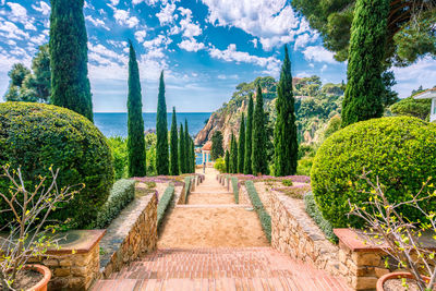 Panoramic view of trees