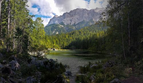 Scenic view of lake by trees against sky