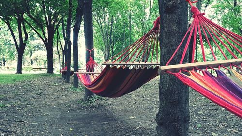 Close-up of hammock hanging on tree