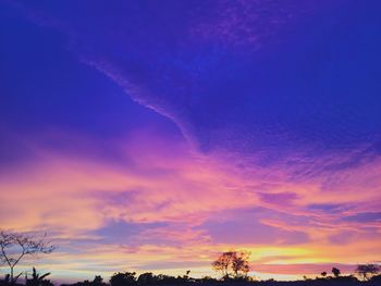 Low angle view of silhouette trees against sky during sunset