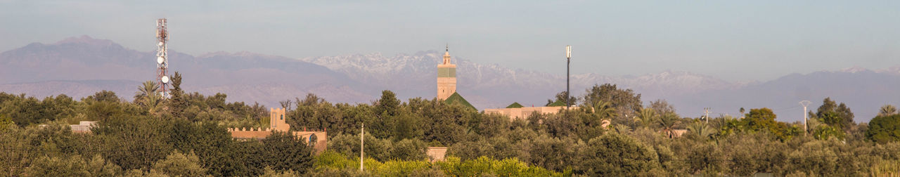 Panoramic view of trees and plants against sky