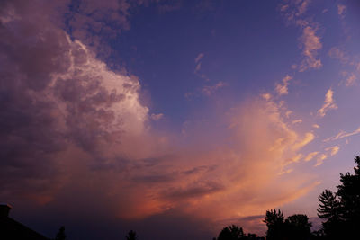 Low angle view of silhouette trees against sky at sunset