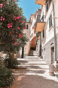 Alley amidst buildings in city
