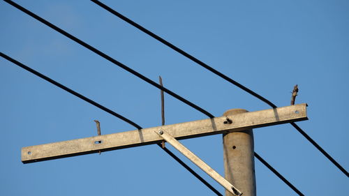 Low angle view of bird perching against clear sky