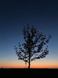 Silhouette tree on field against clear sky at sunset