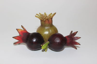Close-up of fruits against white background