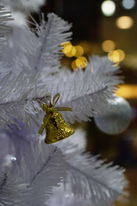 Close-up of christmas tree