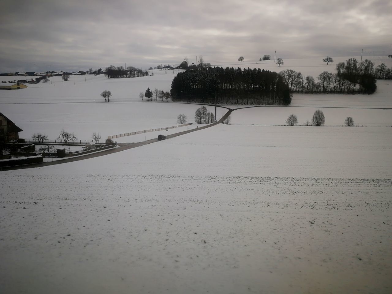 SCENIC VIEW OF FROZEN PLANTS AGAINST SKY