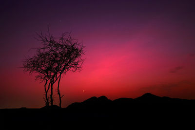 Silhouette tree against sky during sunset