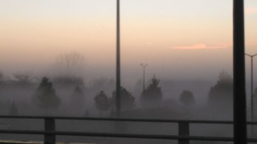 Silhouette trees against sky during foggy weather