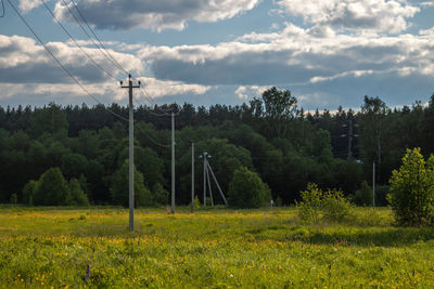 Scenic view of field against sky