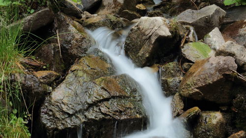 Stream flowing through rocks in forest