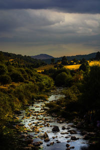 Scenic view of river amidst trees against sky