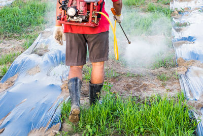 Rear view of man standing in forest