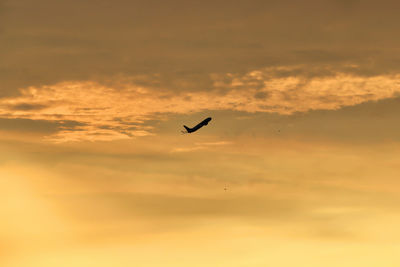 Low angle view of bird flying against sky during sunset