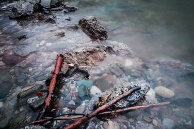 Rocks in sea