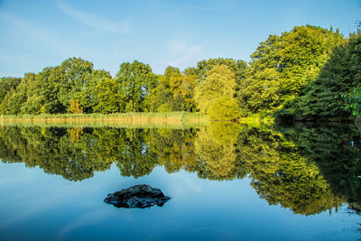 Reflection of trees in lake against sky