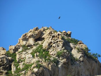 Low angle view of bird flying over rocks against clear blue sky