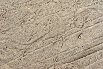 High angle view of footprints on sand