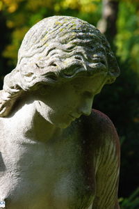 Close-up of statue against water