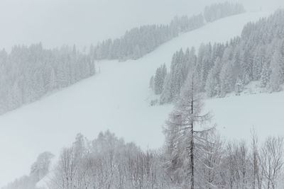 Scenic view of snow covered landscape