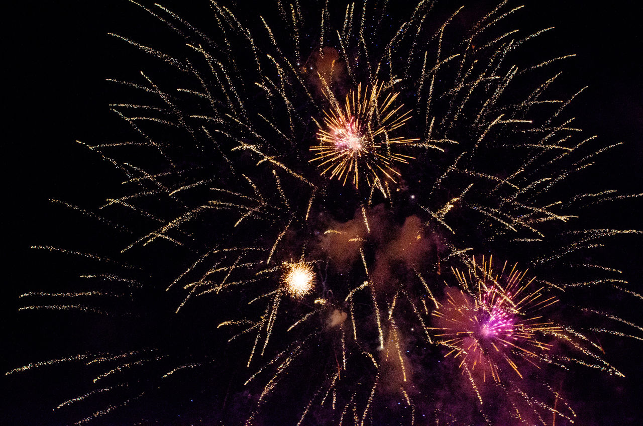 LOW ANGLE VIEW OF FIREWORK DISPLAY AT NIGHT SKY